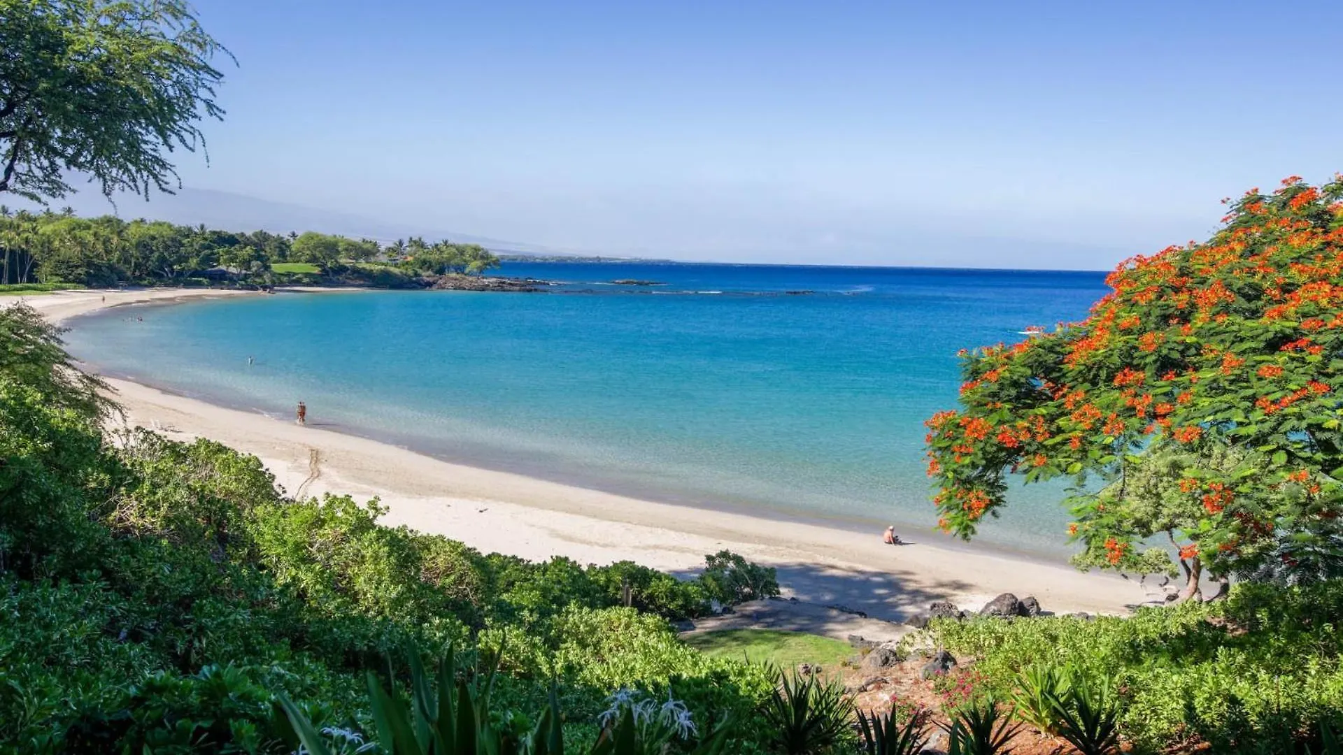 Semesterbostad Harmony Villa Delightful 3Br Detached Home With Private Beach Club Waikoloa